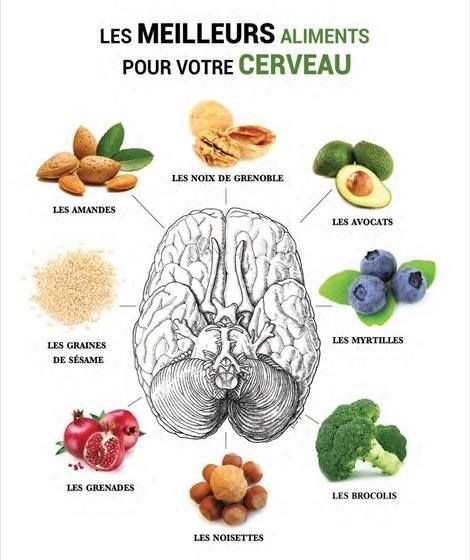 comment bien nourrir son cerveau
